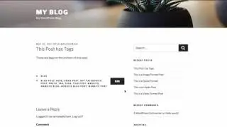 WordPress Categories and Tags