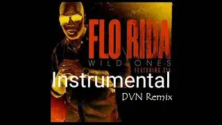 Flo Rida ft. Sia - Wild Ones - [Guetta & Romero] DVN Remix 2012(Official Instrumental)