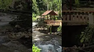Raging River Flow Beneath the Jungle Bridge 🌊🌿