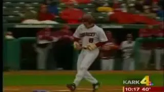 razorback nation report
