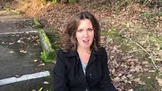 Clarity Clip: A Powerful End of Year Ritual