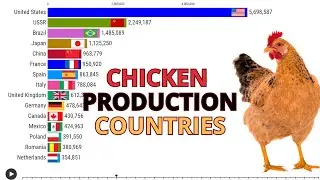 Top 15 Chicken Production Countries 1961-2024