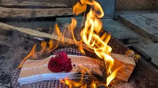 Day 173 - Gupta Navratri - Day 1 Rahashymala mantra sameta Rudra Chandi Havan - aid critical care