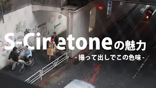 映像クリエイターが絶賛するS-Cinetoneの魅力とは？設定やベースISOについても解説！