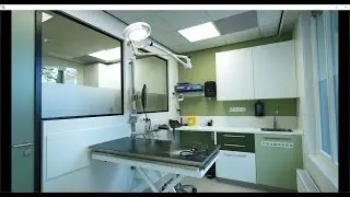 Dierenkliniek Europaplein Amsterdam