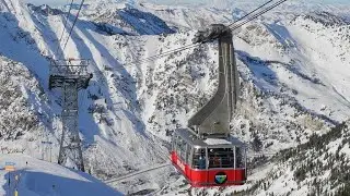 Snowbird: Powder Dreams Do Come True!
