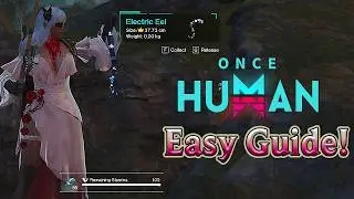 How to Get the Electric Eel Deviation in Once Human The Way of Winter!