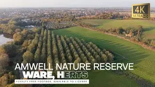 Amwell Nature Reserve Aerial Views. Stunning Tree Formation in Autumn. Royalty Free Drone Footage 4K