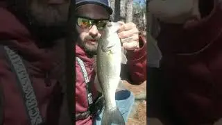 Bass Fishing in Early Spring!!! (Pressured Pond) #Krackincraw
