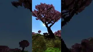 Minecraft Cherry Blossom Tree time lapse :)