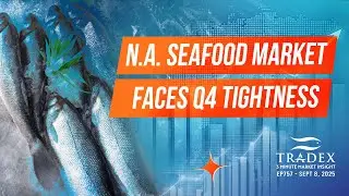 3MMI - Q4 Market: Cod Record Highs, Salmon Tightens, Halibut Record Lows