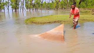 Net Fishing - Best Fishing Video in The Village River Landscape | Net Fishing With Natural Beauty