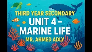 **Unit 4 &ndash; Marine Life | Third Year Secondary | Lessons 3, 4 & 5 Homework