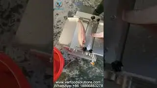 VER Food Solutions Fish Skin Removal Machine Test Video