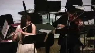 Music Guild - Theme from Howl's Moving Castle