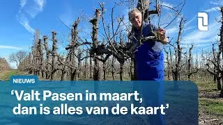 De natuur loopt twee tot drie weken voor | L1 Nieuws