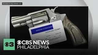 Delaware judge allows state's 