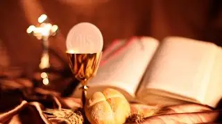 Holy Mass Live Stream