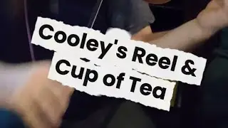 Cooley's Reel & Cup of Tea  set at Meg O'Malley's session  12-9-2025#fiddle  #violin  #fyp 