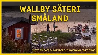 Wallby S&auml;teri in Sm&aring;land