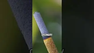 smoldering vs flaming fire