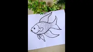 Easy gold fish 🐟 drawing for beginners/gold fish drawing step by step #goldfish #fish #drawing #art