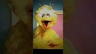 Big Bird Busts Down The Door Vine (Reupload) (Read Desc)