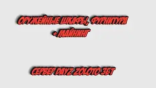 Оружейные шкафы, фурнитура + Майнинг   Сервер DayZ zoloto ЗБТ