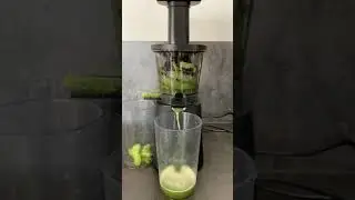 Top Juicer 2020 I Celery Juice in the Optimum 600M Cold Press Juicer