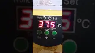 Temperatura de incubaci&oacute;n.