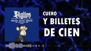 Digitos - Kid Flaco x Young Akop x Skinny Fool (Video Lyrics)