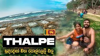 සුද්දොත් එන පොල්ලෙලි වල | THALPE BEACH, Galle - Vlog Part 01 | Best Beach in Sri Lanka