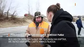 Рыбаки ходят за бакланами в поисках рыбы