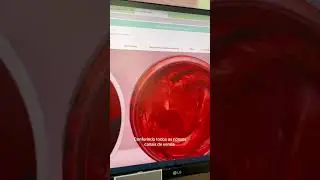 Resumindo o nosso dia em alguns segundos de v&iacute;deo! 🩷 #rotinadodia #viralvideo #foryou