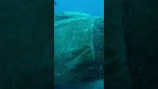 This is what sunken plane looks like? #scuba #sunken #plane #underwater #planecrash