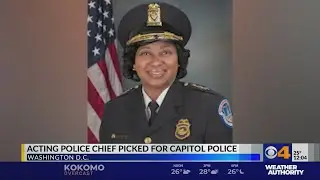 Acting police chief picked for Capitol police