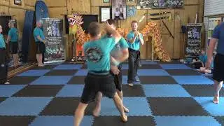 2019 Blue Mantis Gradings