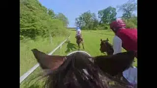 Str&ouml;msholm 14.06.2025. DET 54:E RAUMASTER SVENSKT GRAND NATIONAL