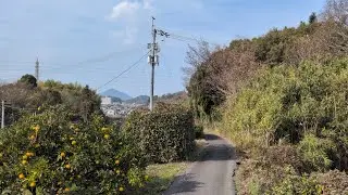 〈久万ノ台越〉松山妖精雑談散歩vol.467久万ノ台東山 グラウンド池高台宮前62