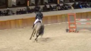 Paris du Driepikkel Z 125 cm