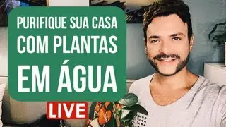 PURIFIQUE A ENERGIA DE SUA CASA COM PLANTAS EM ÁGUA/ LUIZ NETTO
