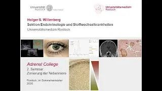 Adrenal College, adrenal zonation