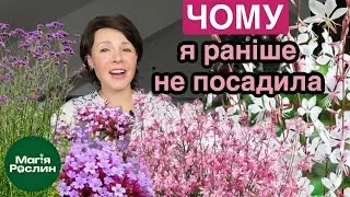 Чому іх раніше не посадила? Гаура, вербена бонарська