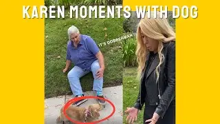 Ranking Karen Moments With Dog