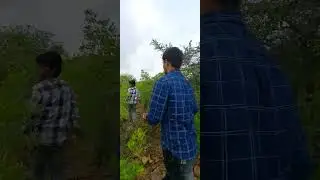 #adavikodi #adavithallimaata #adaviramudu #adavi #adavitrolls #adavisesh #adavii