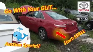 Прислушайтесь к своей интуиции... Заводится &mdash; глохнет? (Toyota Camry 2009 года)