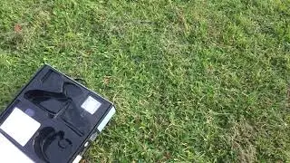 avitron vid two flapping bird in flight