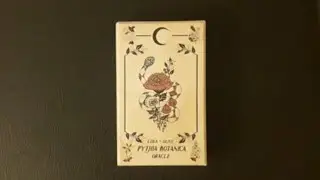 REVIEW - Pythia Botanica Oracle - Leila + Olive