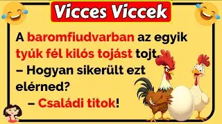 🤣 Vicces Viccek: A baromfiudvarban az egyik ty&uacute;k f&eacute;l kil&oacute;s toj&aacute;st tojik 😂