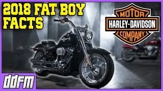 2018 Harley Davidson FatBoy Specs and Info